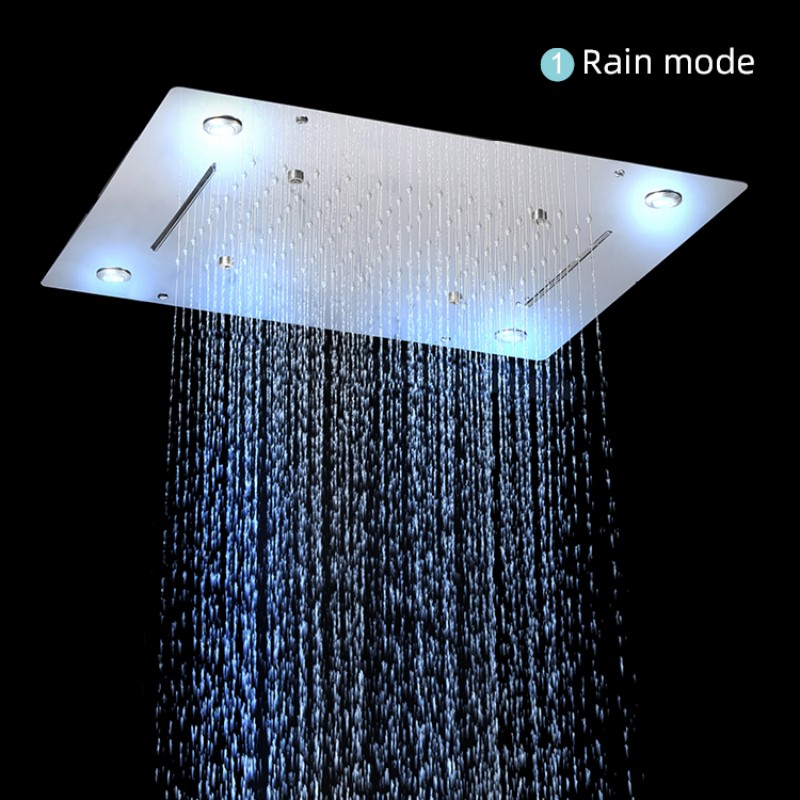 Ceiling Shower Head With Lights