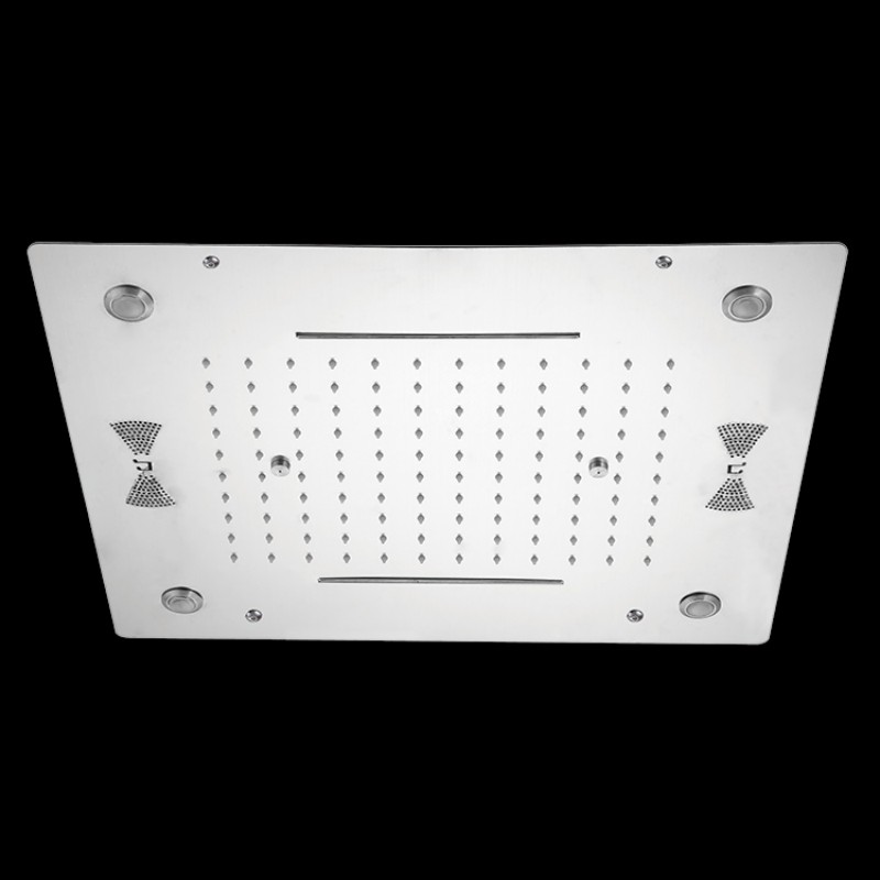 Concealed Ceiling Shower Head