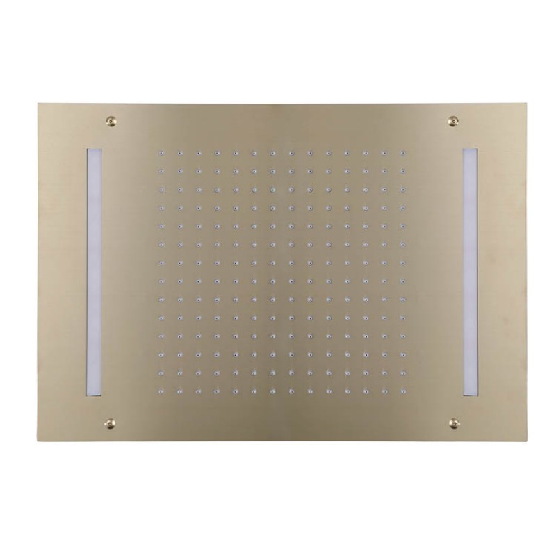 Brass Ceiling Mounted Shower Head