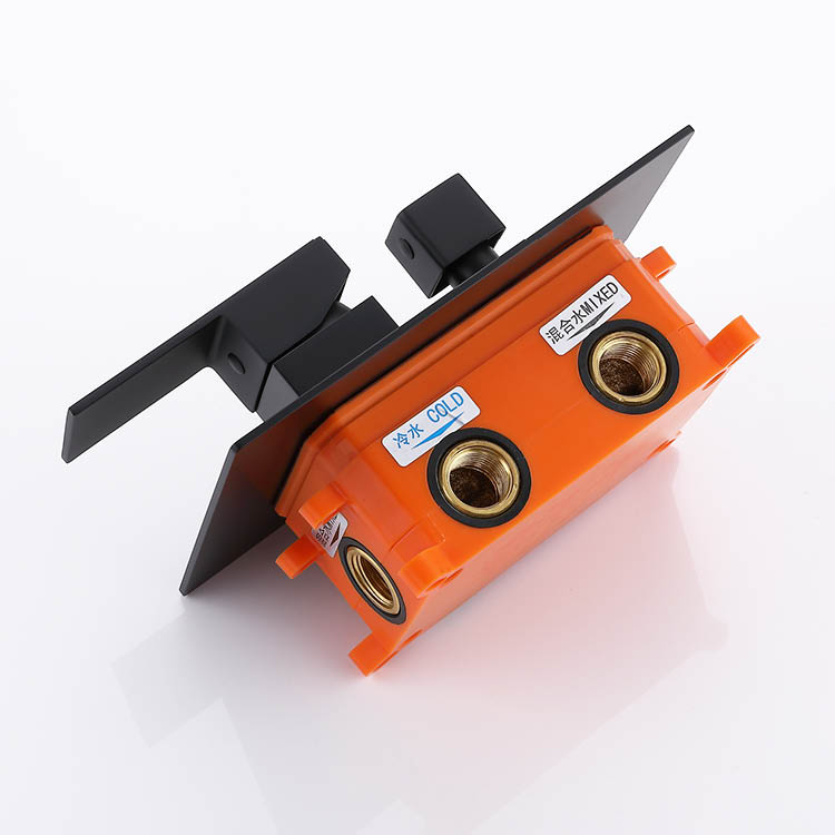 Concealed Shower Set Black