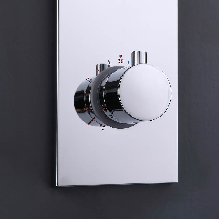 Concealed Thermostatic Shower