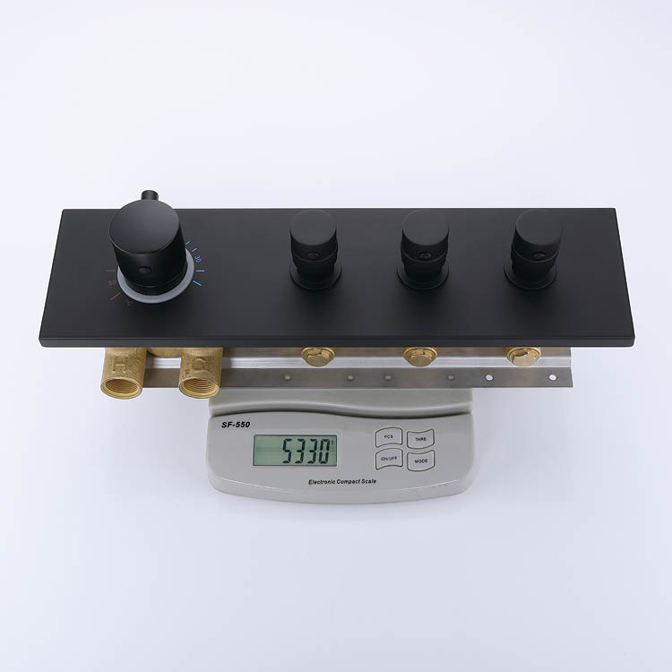 Black Concealed Mixer Shower