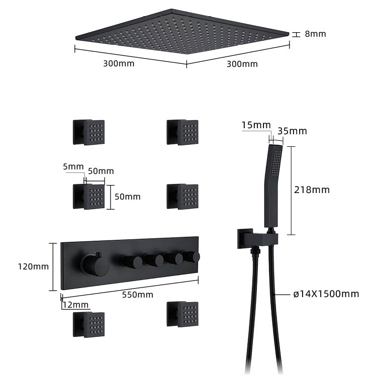 Black Concealed Thermostatic Shower