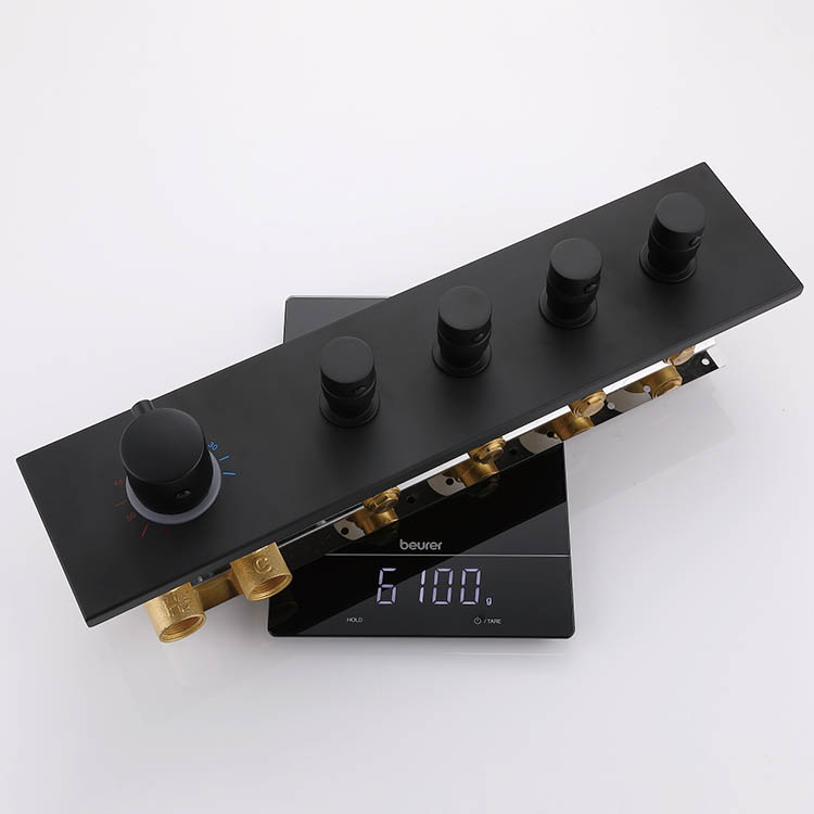 Black Concealed Thermostatic Shower