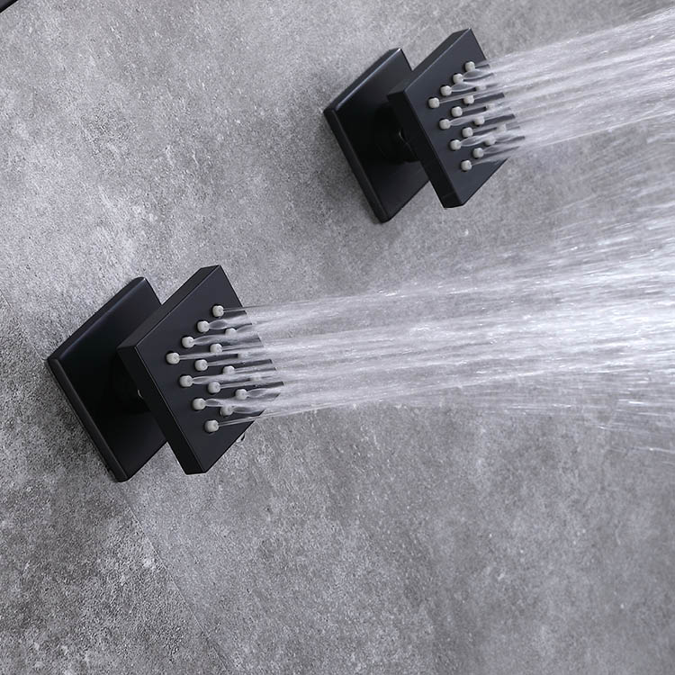 Black Concealed Thermostatic Shower