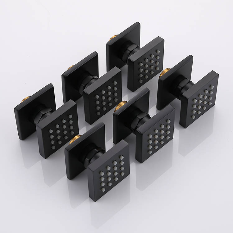 Black Concealed Thermostatic Shower