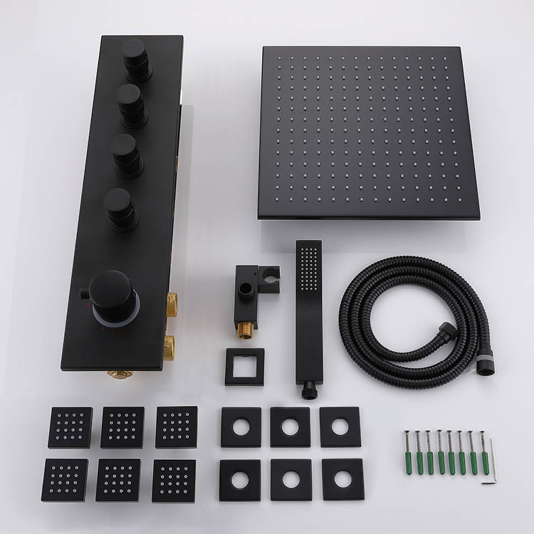 Black Concealed Thermostatic Shower