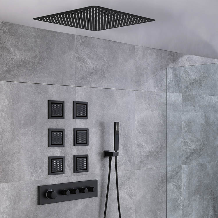 Black Concealed Shower