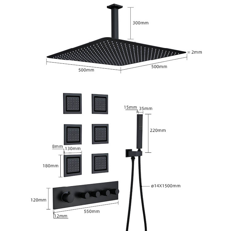 Black Concealed Shower
