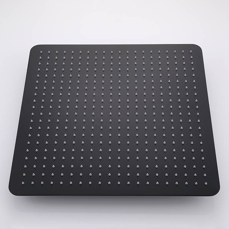 Black Concealed Shower