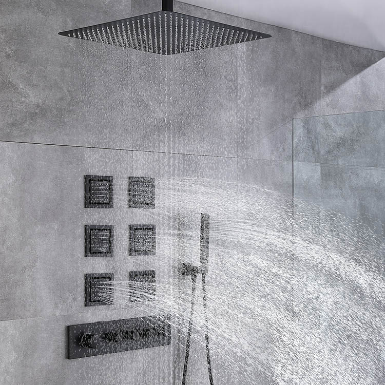 Black Concealed Shower