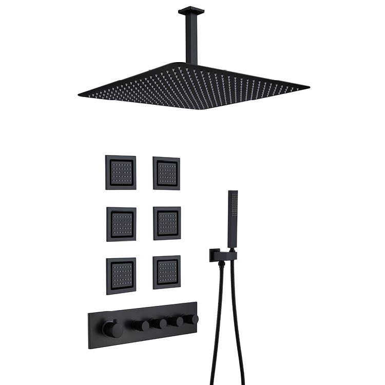 Black Concealed Shower