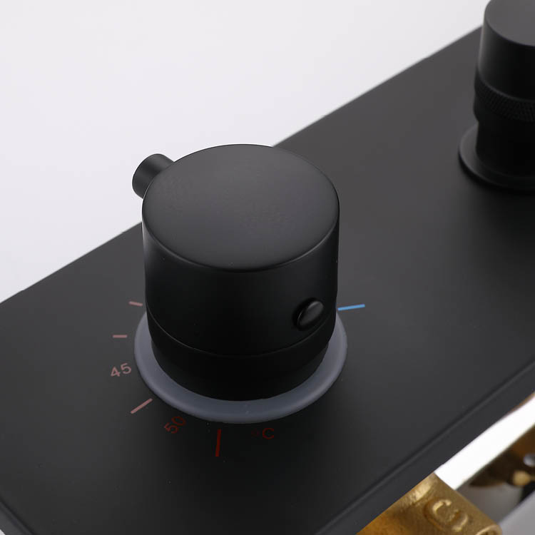 Matt Black Concealed Shower