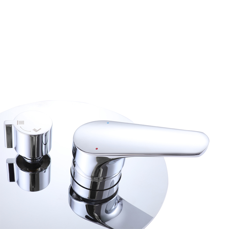 2-Way Concealed Shower Mixer