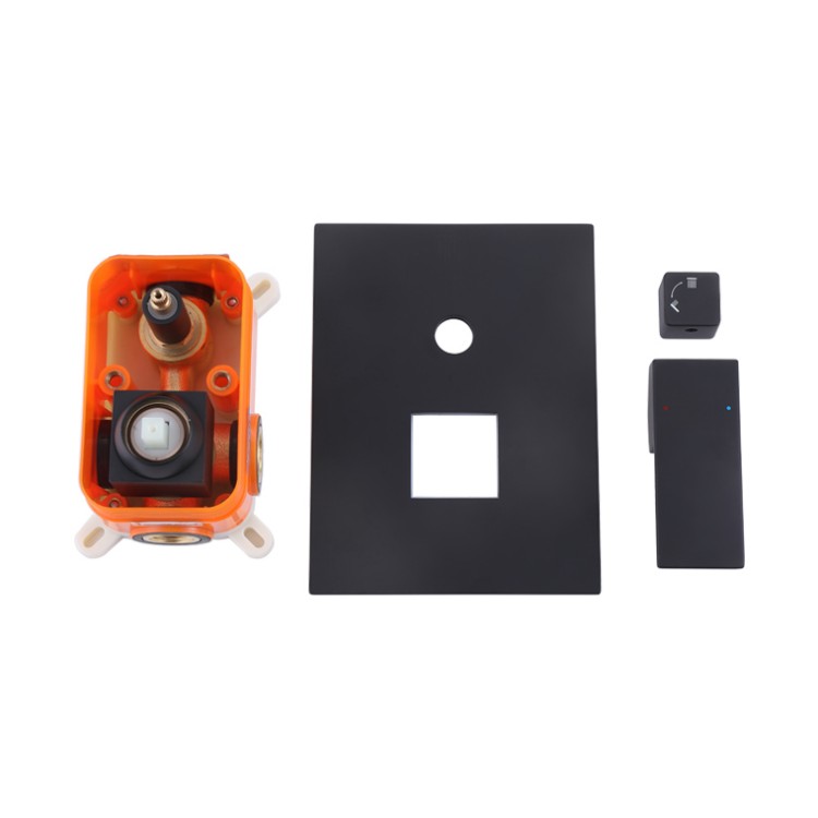 Black Concealed Shower Mixer