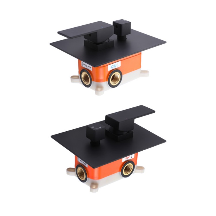 Black Concealed Shower Mixer