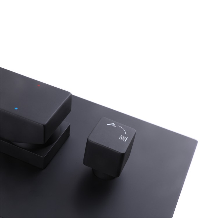 Black Concealed Shower Mixer