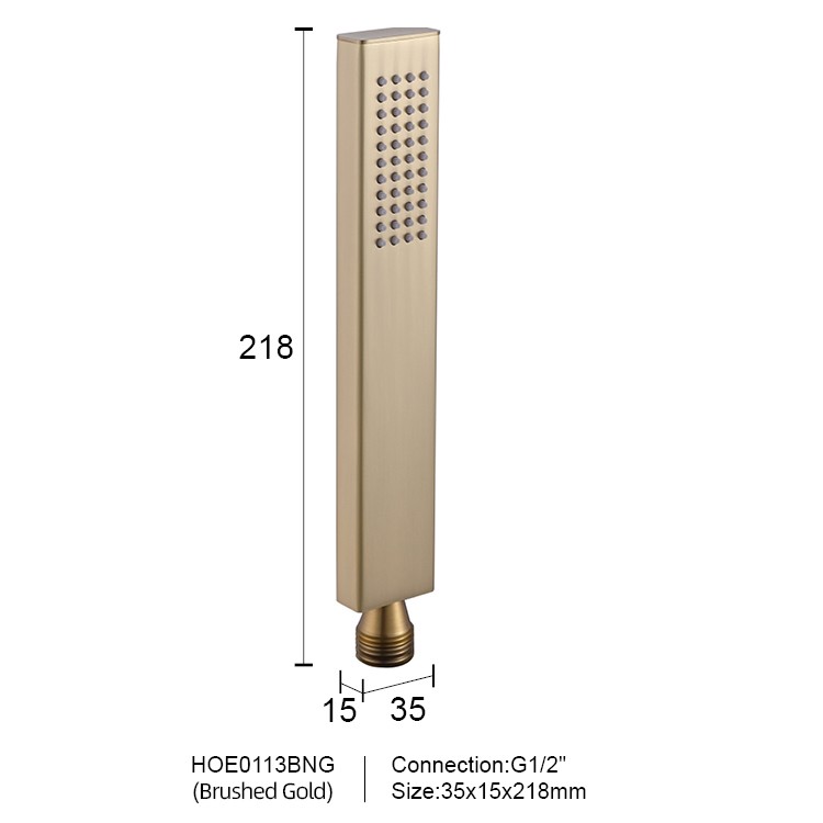 Posh Hand Held Shower Head