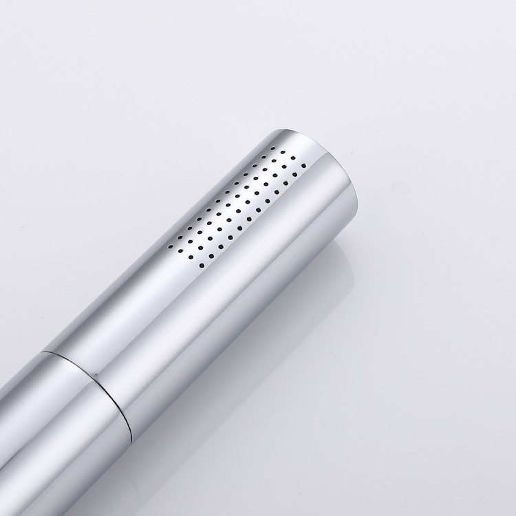 Shower Hand Held Wand