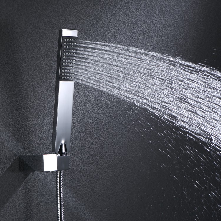 Held Shower Head