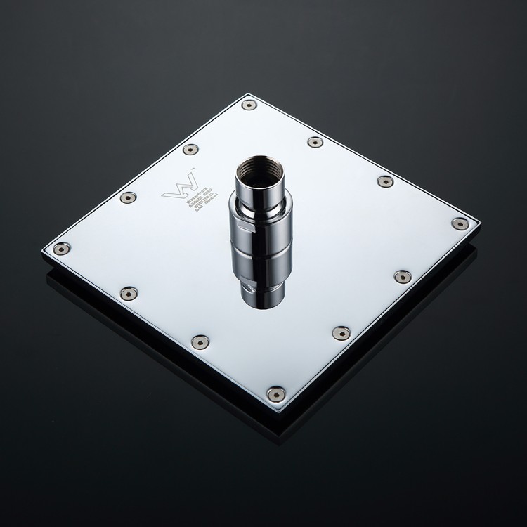 Polished Brass Rain Shower Head