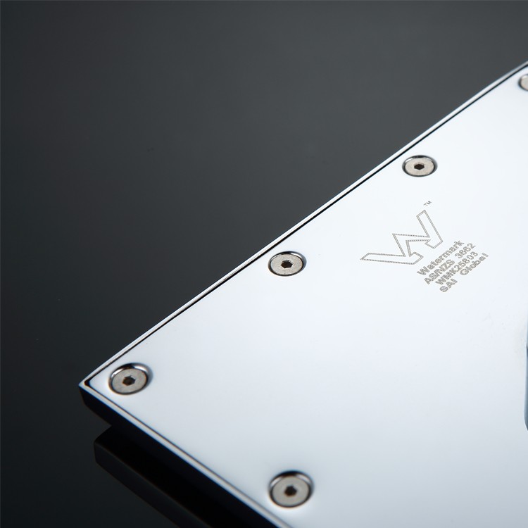 Polished Brass Rain Shower Head