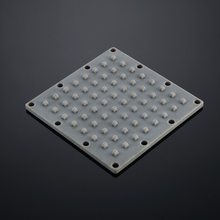 Large Brass Shower Head