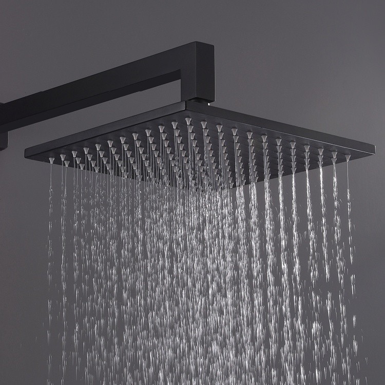 Black Metal Shower Head