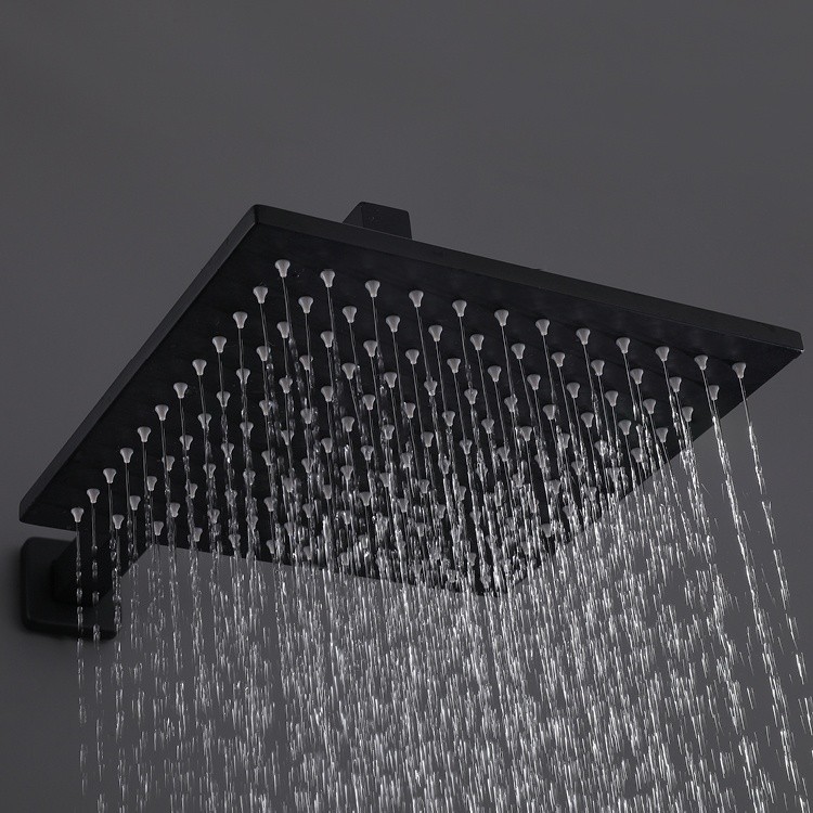 Black Metal Shower Head
