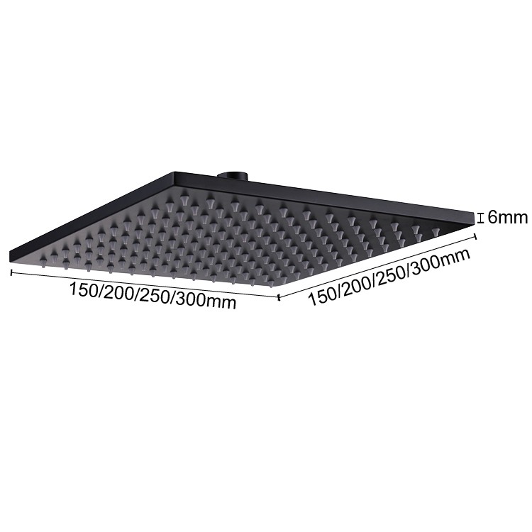 Black Metal Shower Head