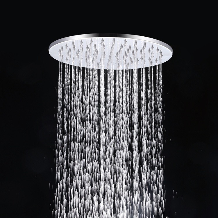 Brushed Steel Shower Head
