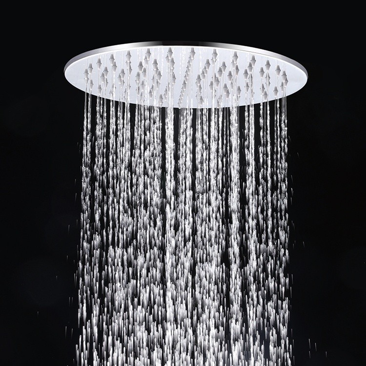 Best Stainless Steel Shower Head