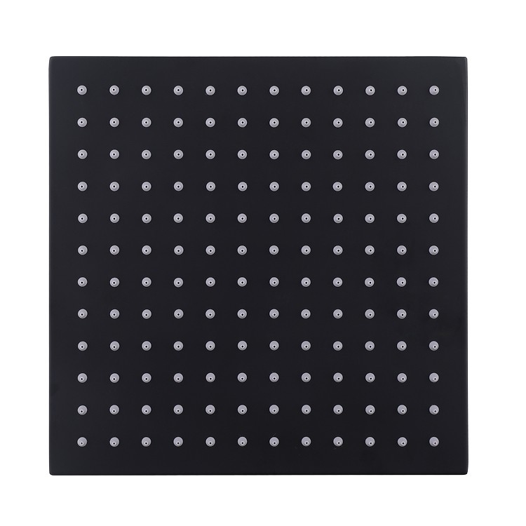 Black Stainless Steel Shower Head