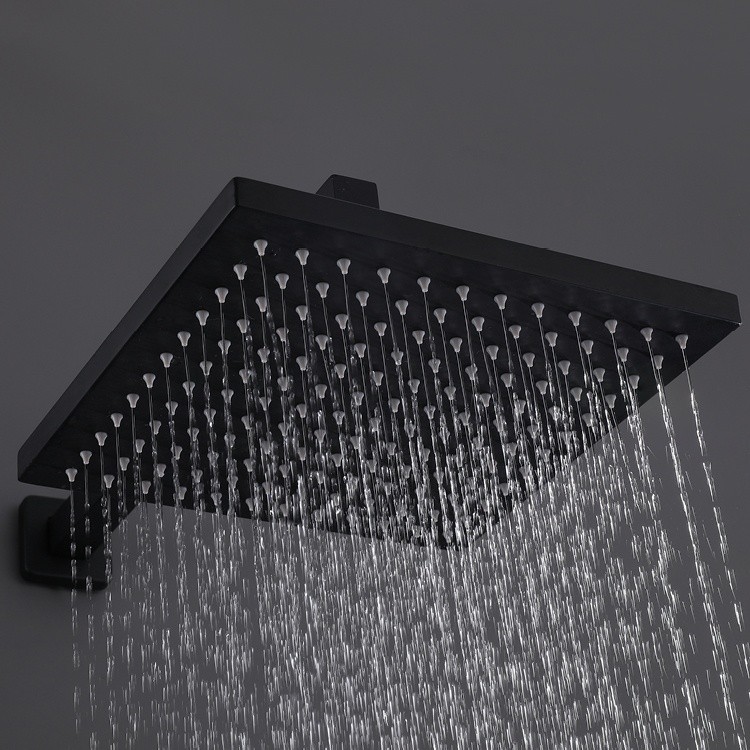 Black Stainless Steel Shower Head