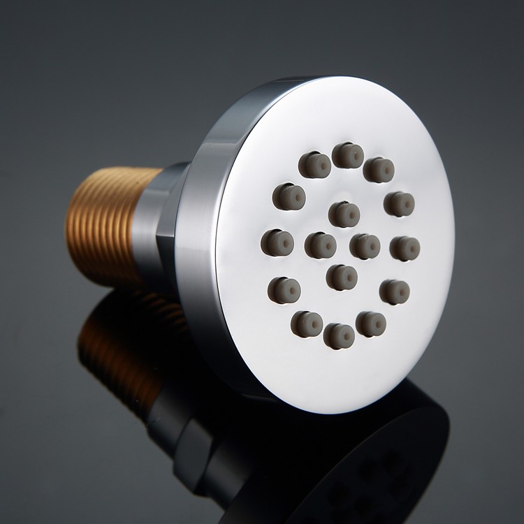 Shower Head With Side Sprayer