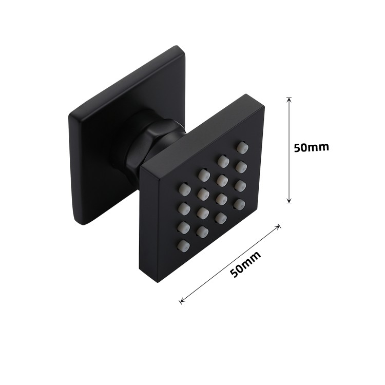 Black Shower Side Spray