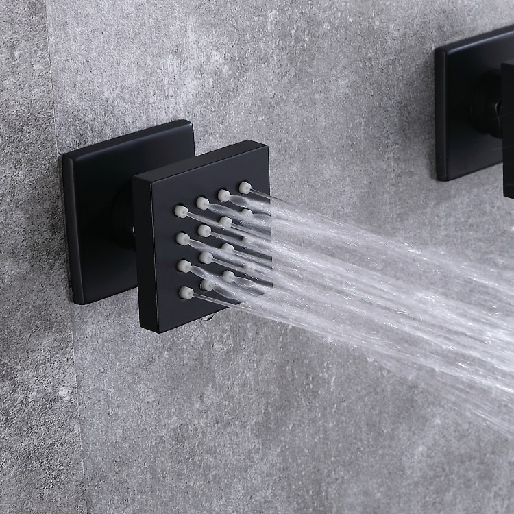 Black Shower Side Spray