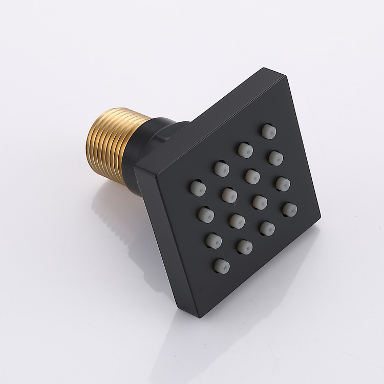 Black Shower Side Spray