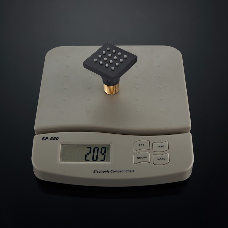 Black Shower Side Spray