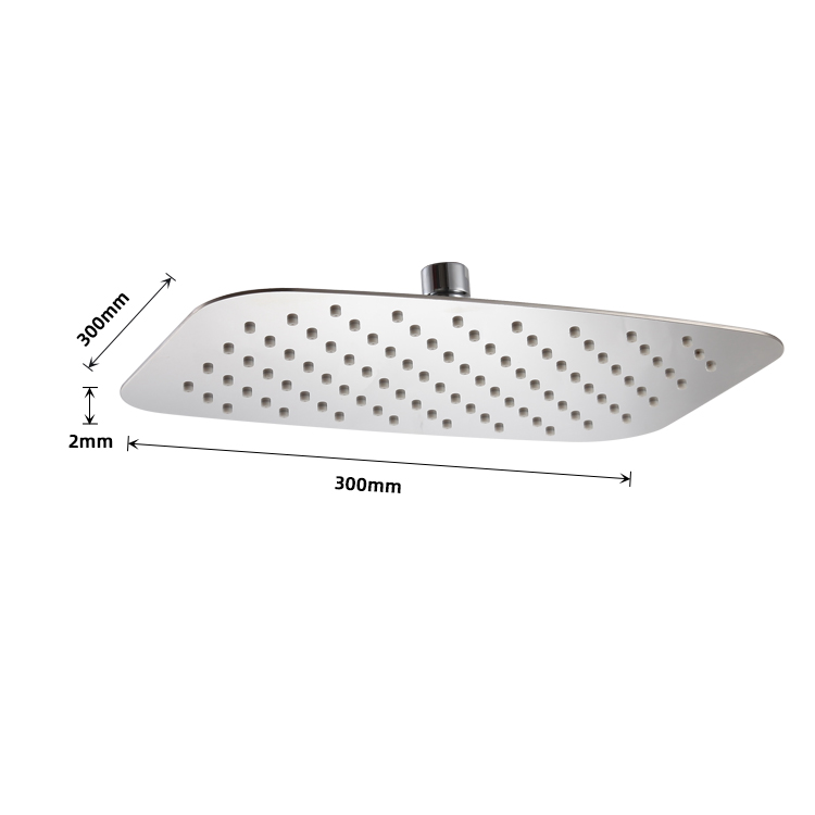 Rust Proof Shower Head