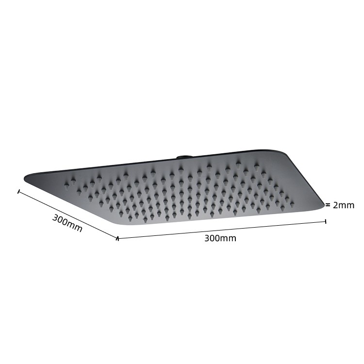 Black Stainless Shower Head