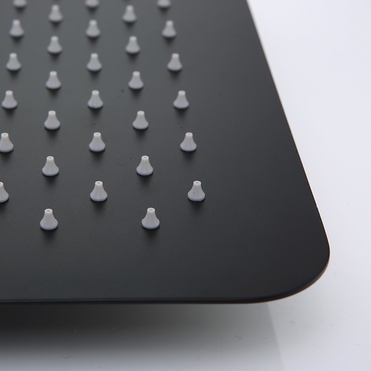 Black Stainless Shower Head