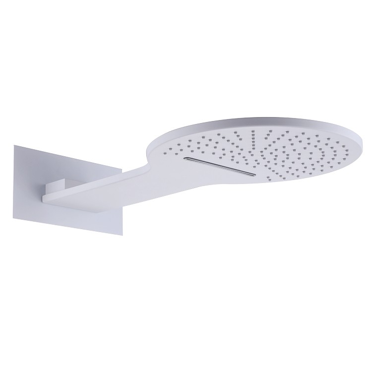 SS Shower Head