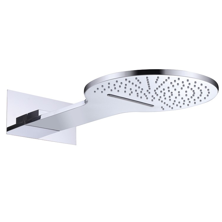SS Shower Head