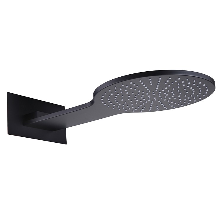 SS Shower Head