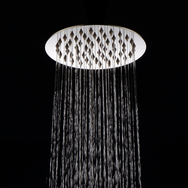 Multi Function Rain Shower Head