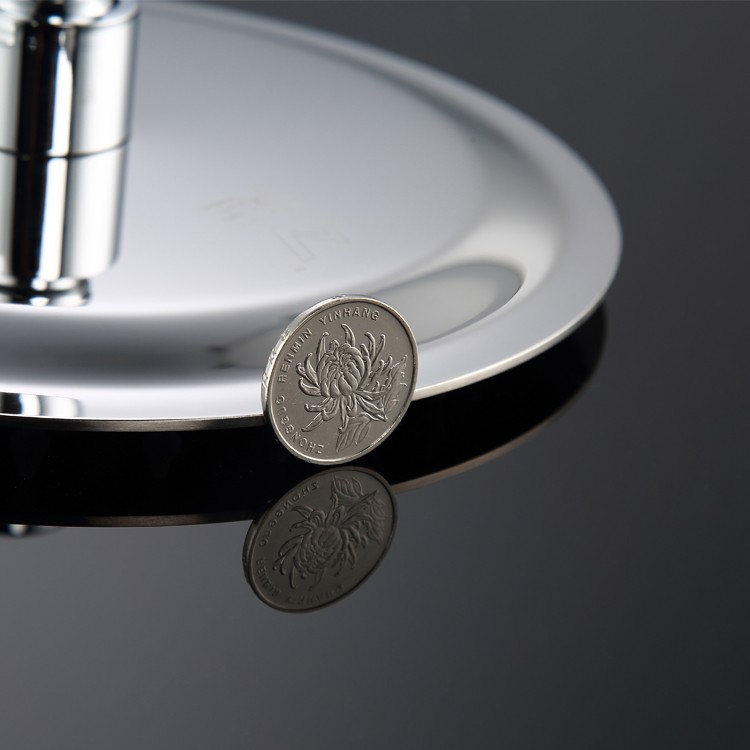 Round Head Shower