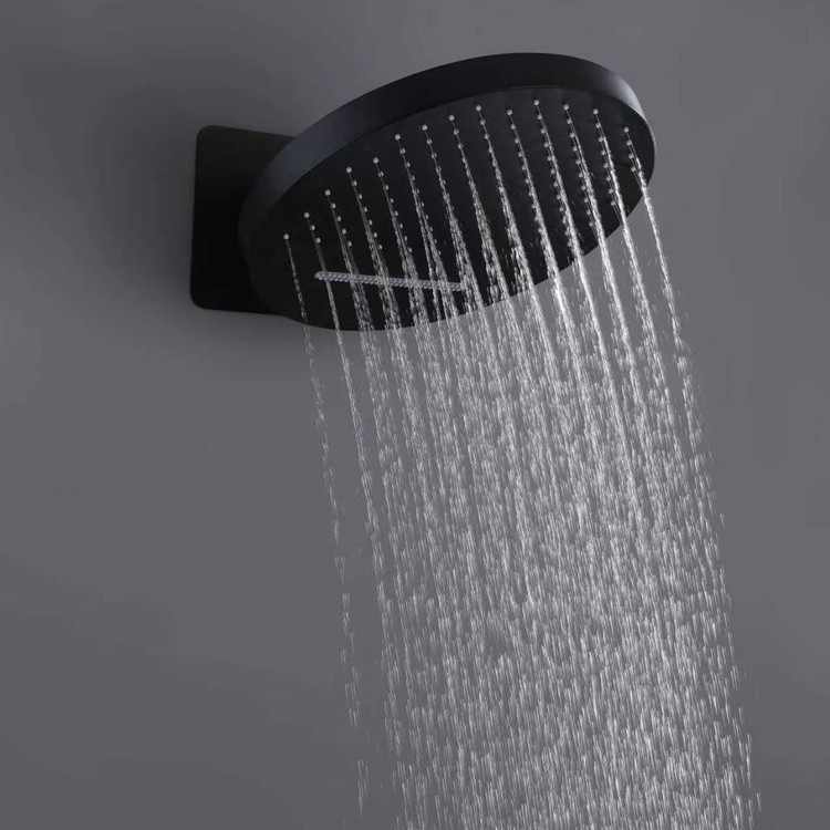 Round Black Shower Head