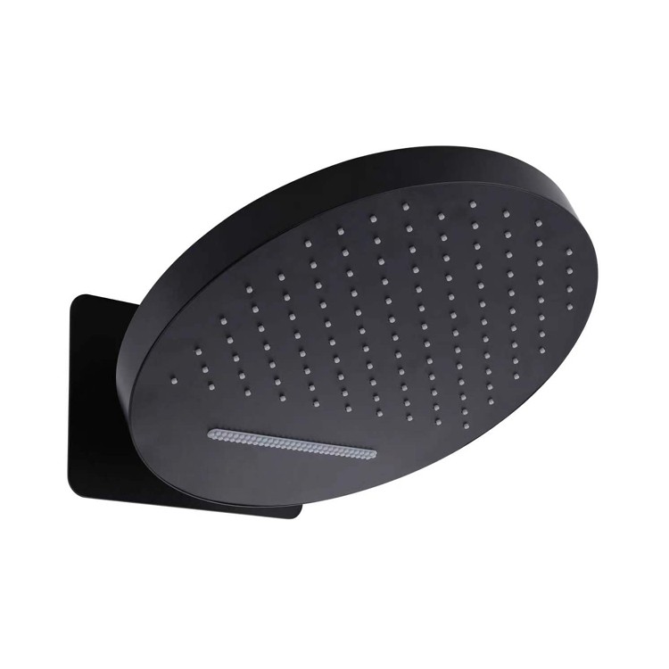 Round Black Shower Head