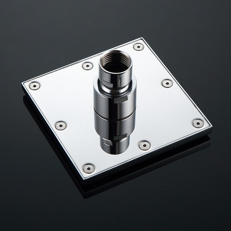 Brass Head Shower